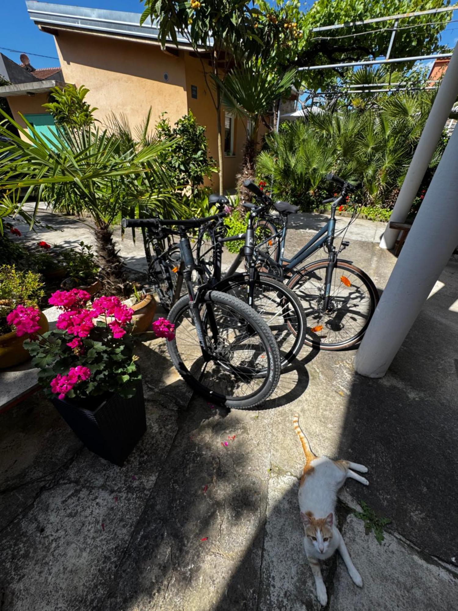 Eleonora Apartments Zadar Zewnętrze zdjęcie